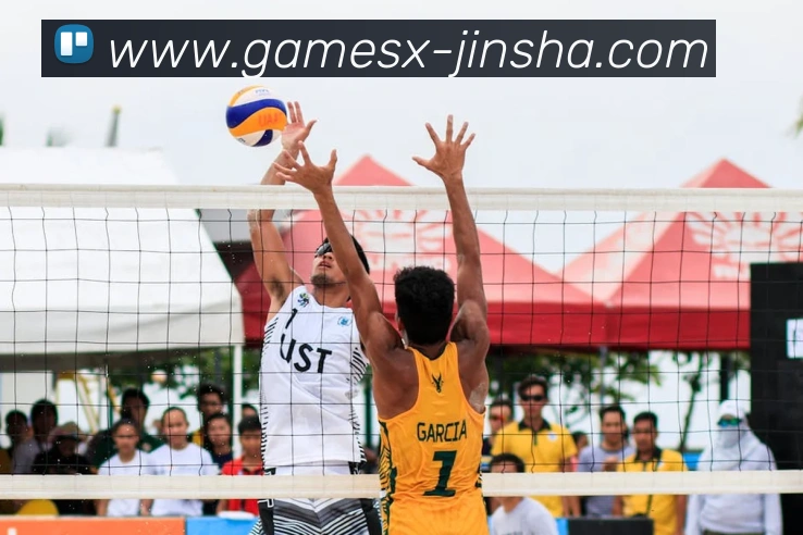 多媒体互动体验